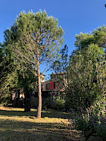 Roland Huber, F&uuml;rstenaubruck